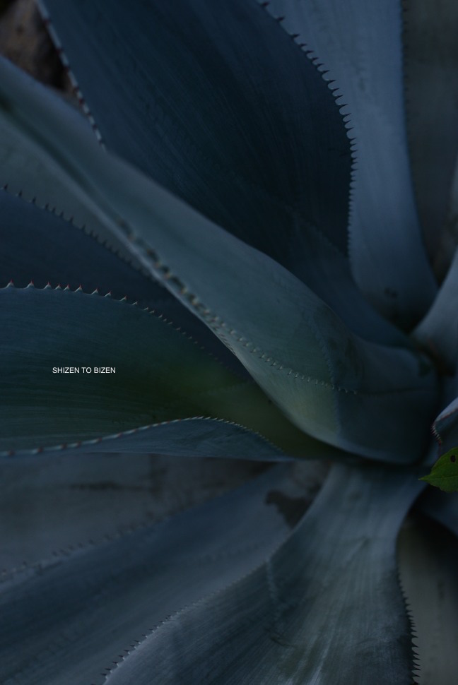 _123720160824DSC_2865