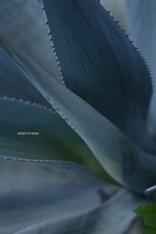 _124120160824DSC_2869