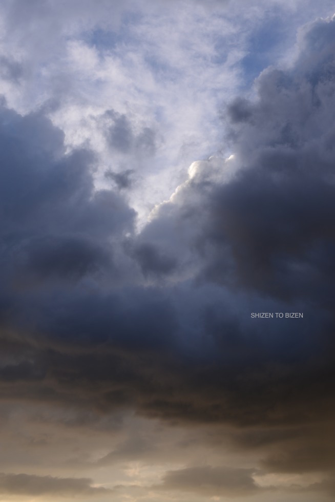 _130020160829DSC_2959