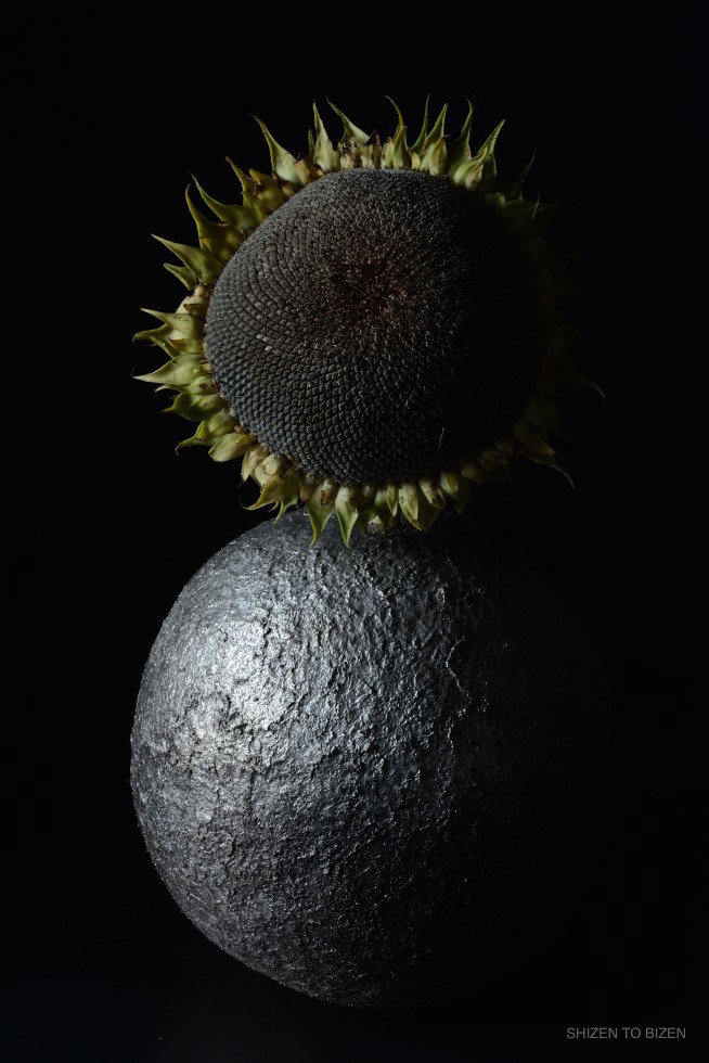 _674shibuta2016exDSC_2043