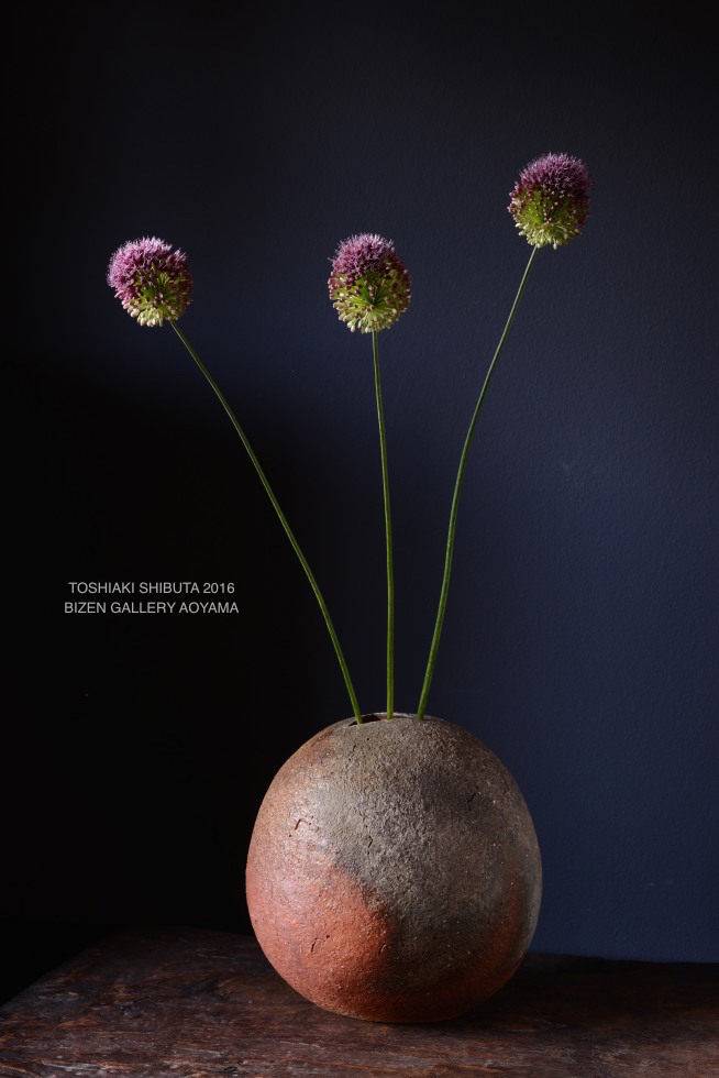 _758shibuta2016exDSC_2141