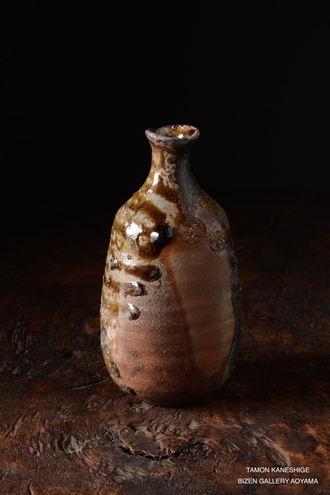 dsc_3536_102dsc_3536tamon2016ex