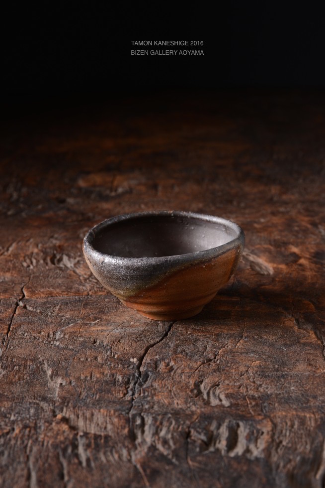 dsc_3560_120dsc_3560tamon2016ex