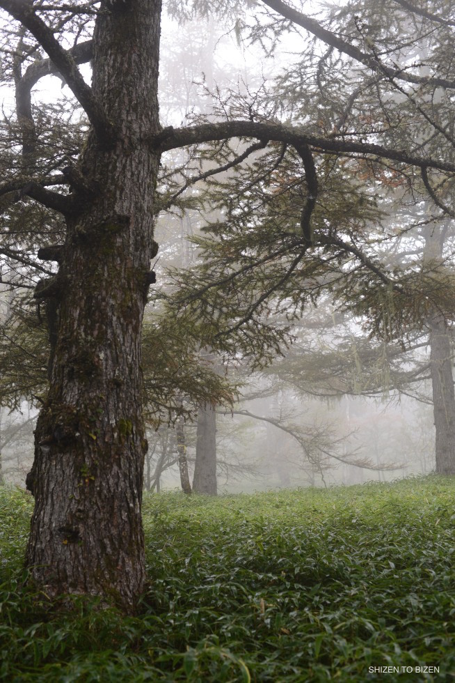 dsc_4162_53220161010