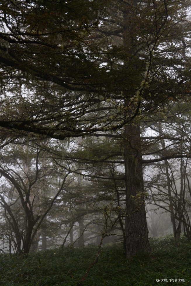 dsc_4164_53320161010