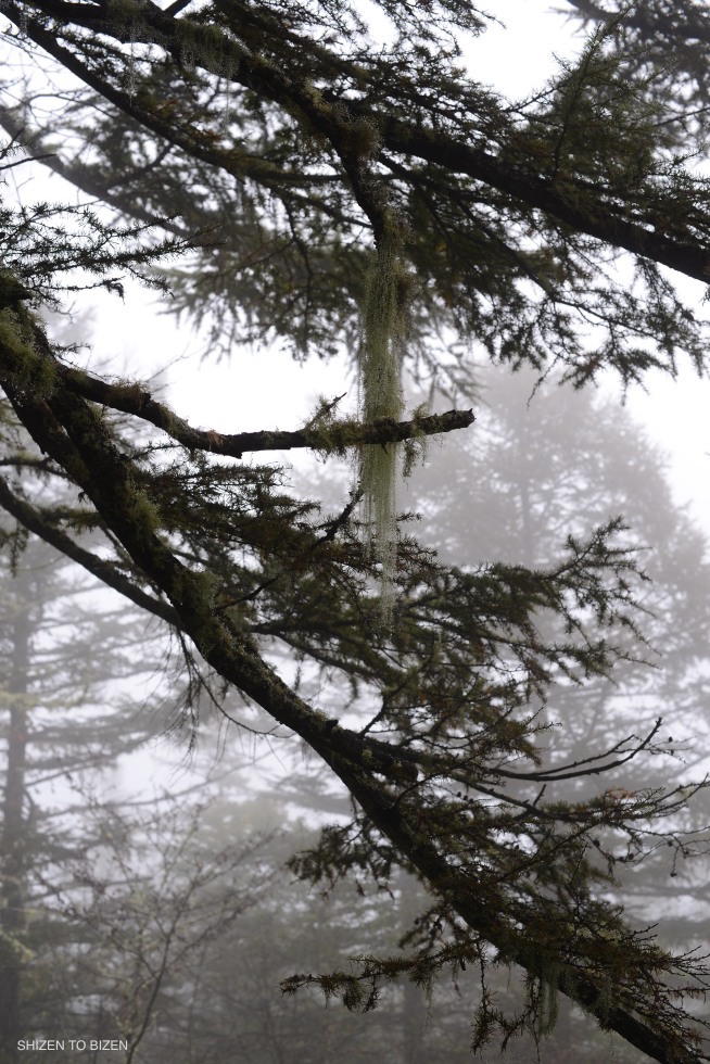 dsc_4165_53420161010