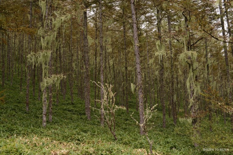 dsc_4181_54120161010