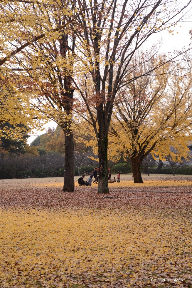 686dsc_5745kairakuen2016