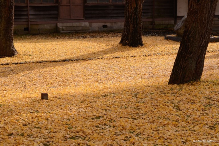 692dsc_5542kairakuen2016