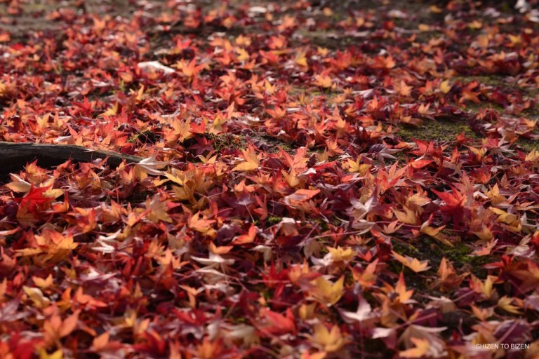 755dsc_5672kairakuen2016