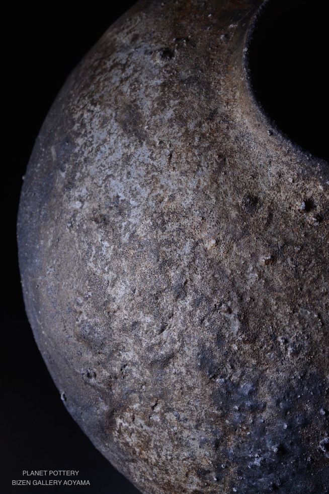 1460dsc_6835seihoshinotsubo