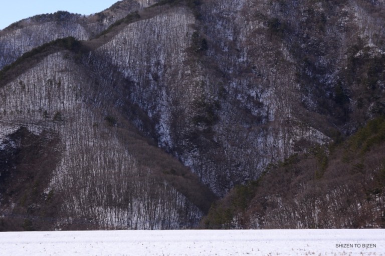 1926dsc_7495masutomi