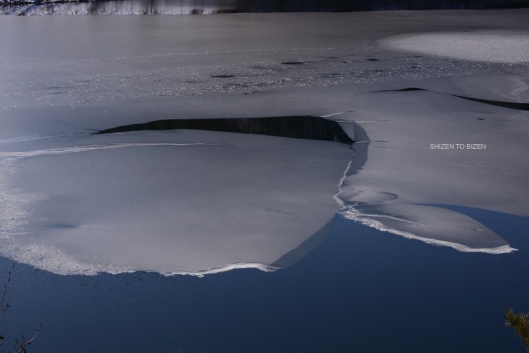 1928dsc_7500masutomi