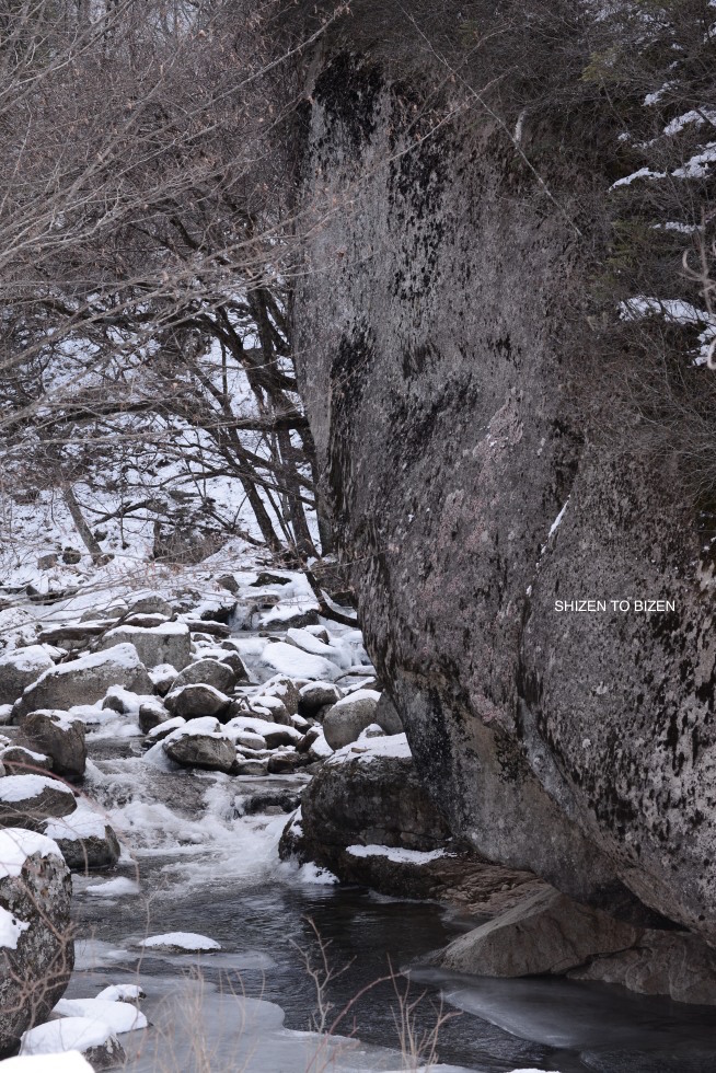 2117dsc_7772masutomi