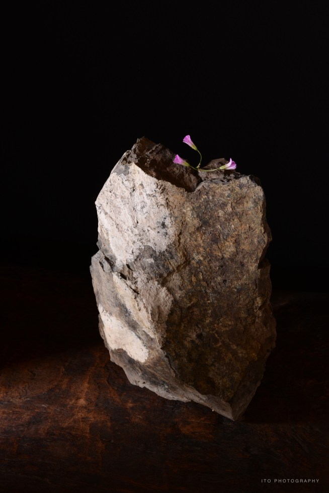 DSC_1405taijiro190609