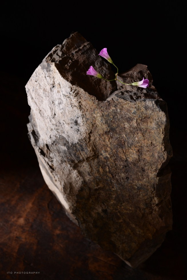 DSC_1410taijiro190609