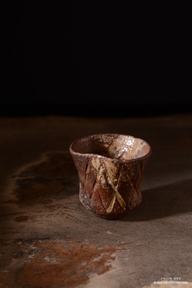 DSC_0066anjinabe2019w