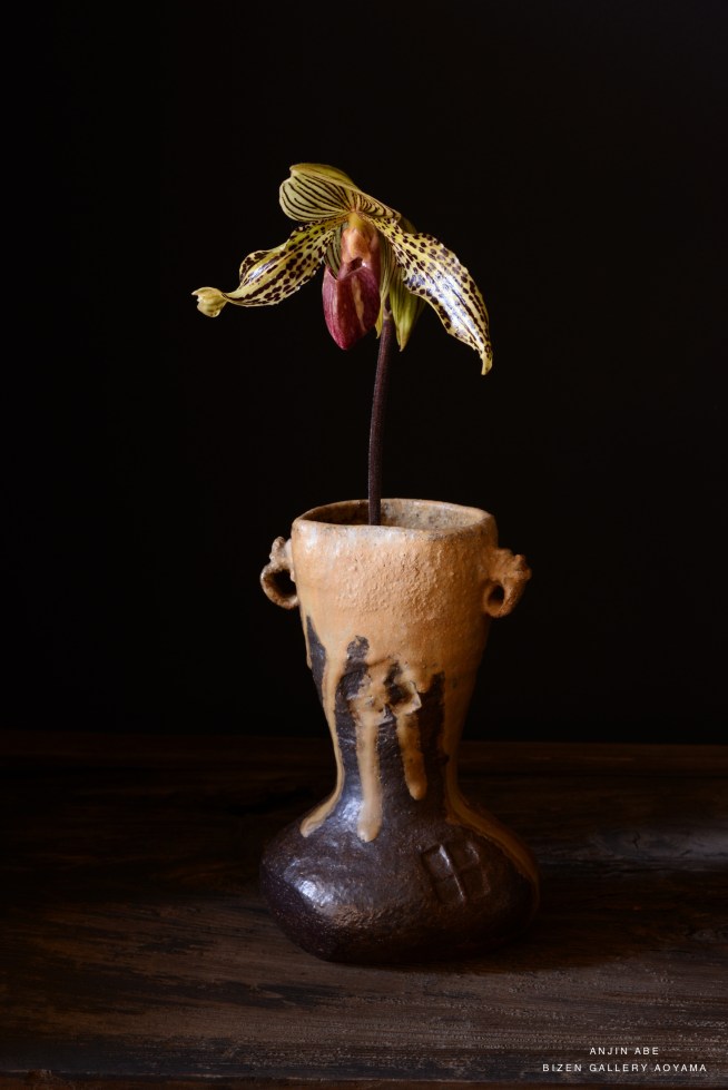 DSC_9581anjinabe2019dw