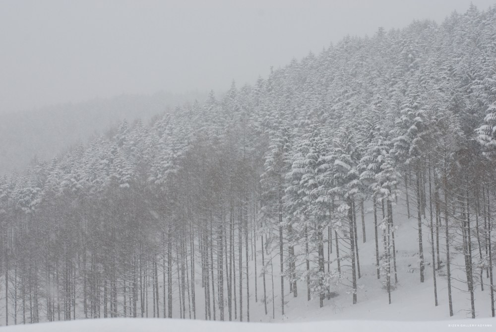 Now is the time – shizen to bizen