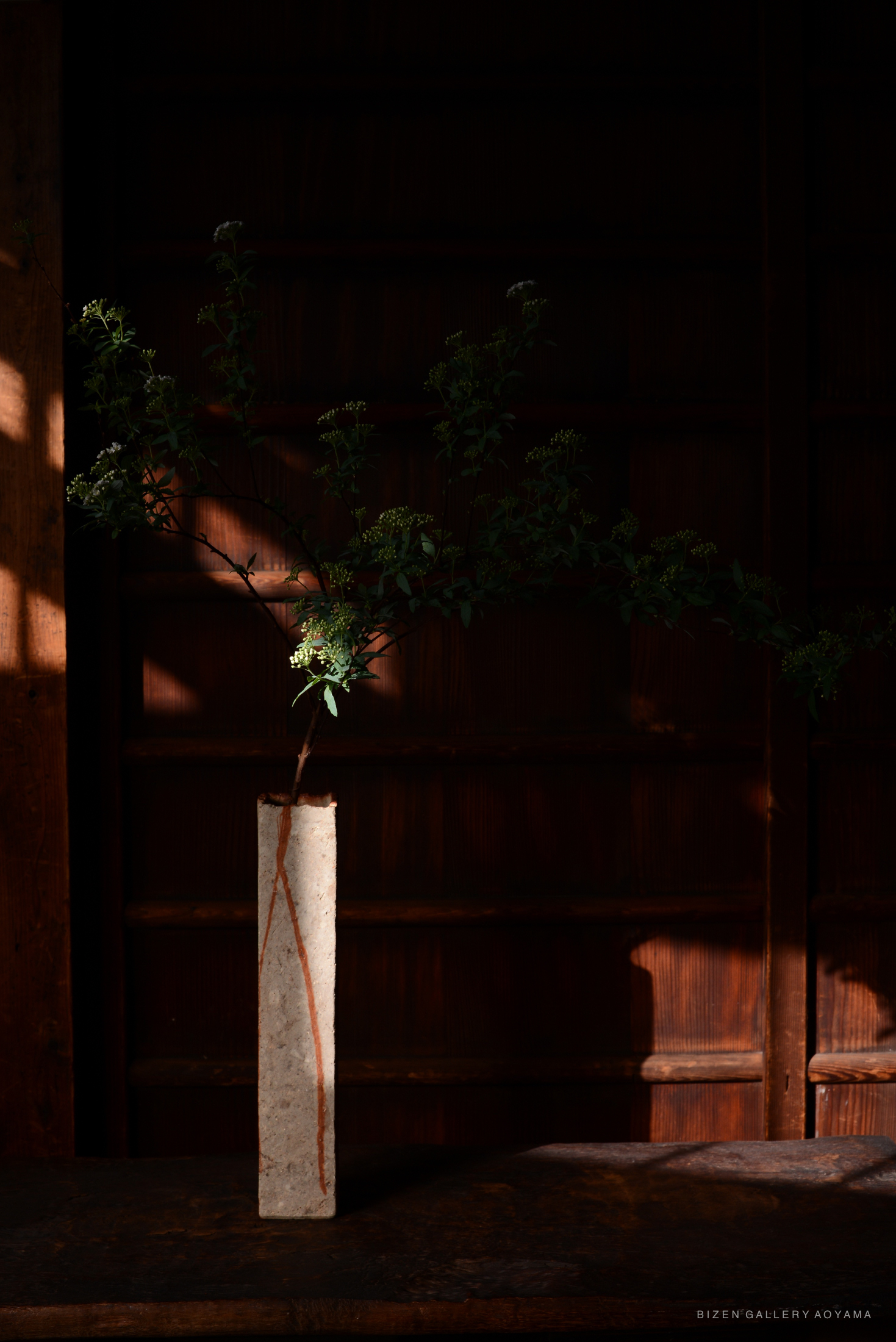 Background that has changed over time – shizen to bizen