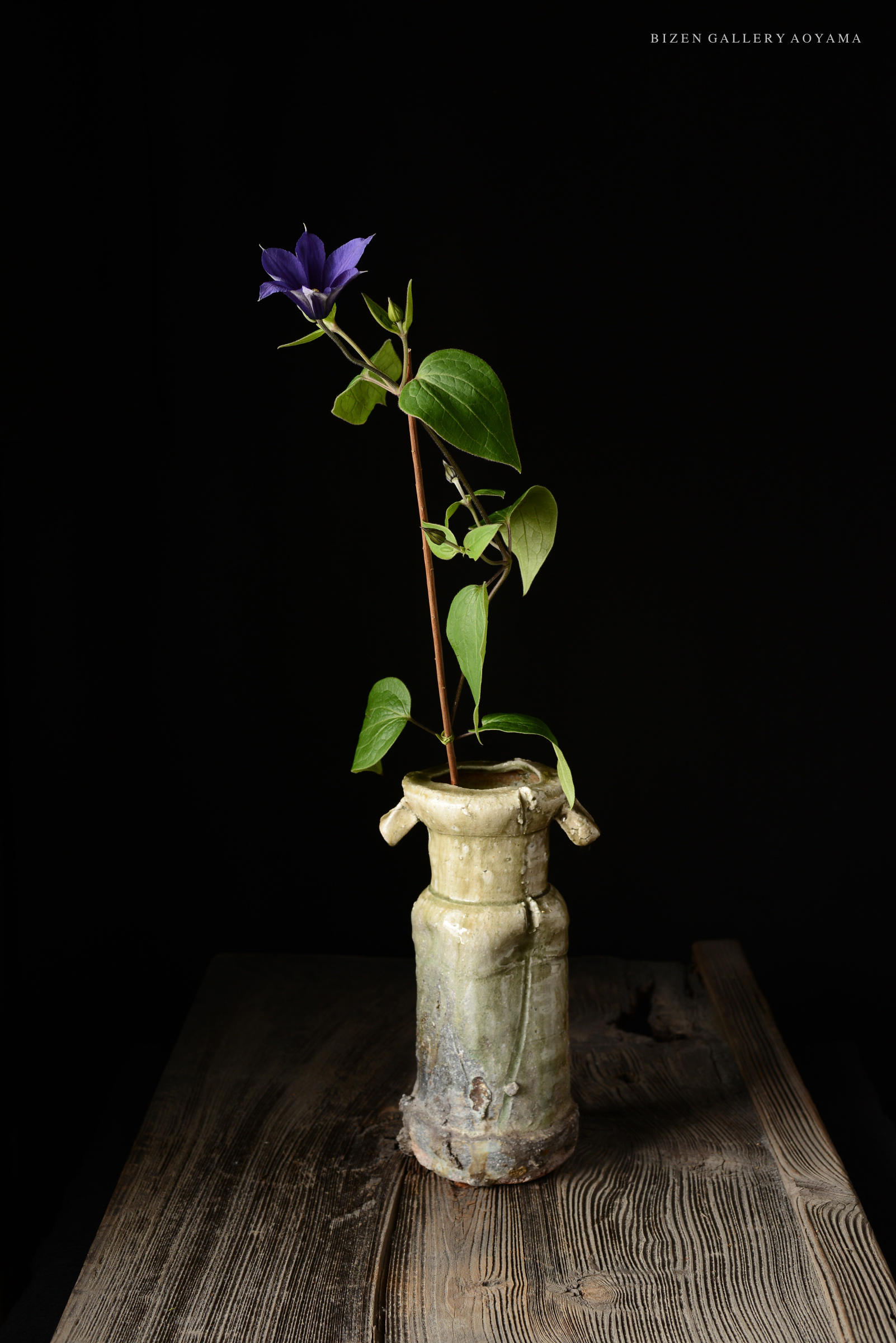 IGA – shizen to bizen