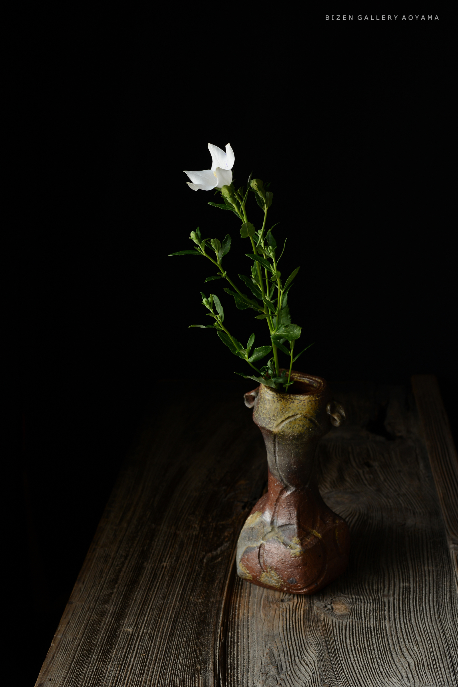 A delicate white flower in a rustic ceramic vase, set against a dark background, showcasing greenery and texture.