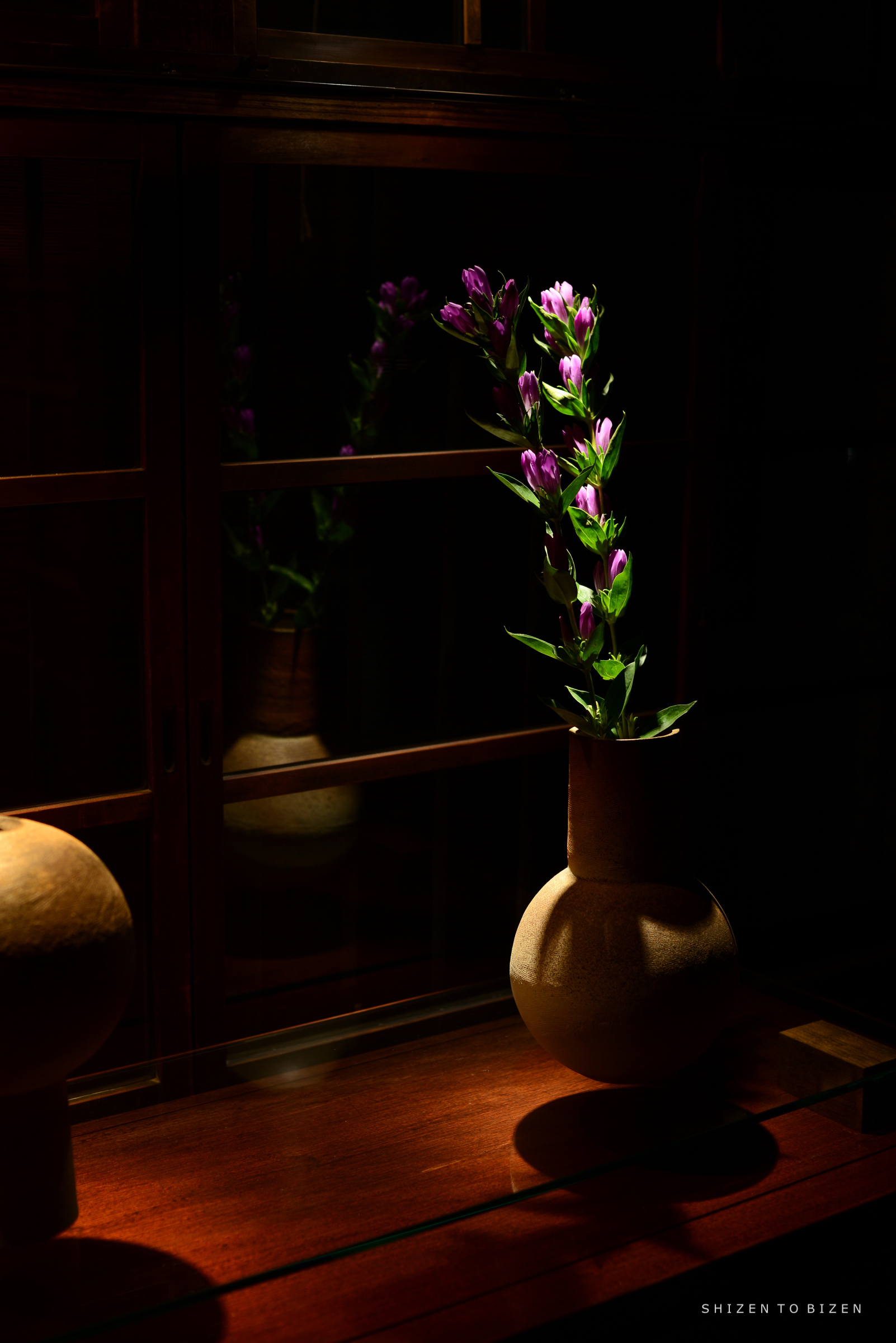 A decorative vase holding purple flowers, illuminated in soft light, placed on a wooden table near a darkened window.