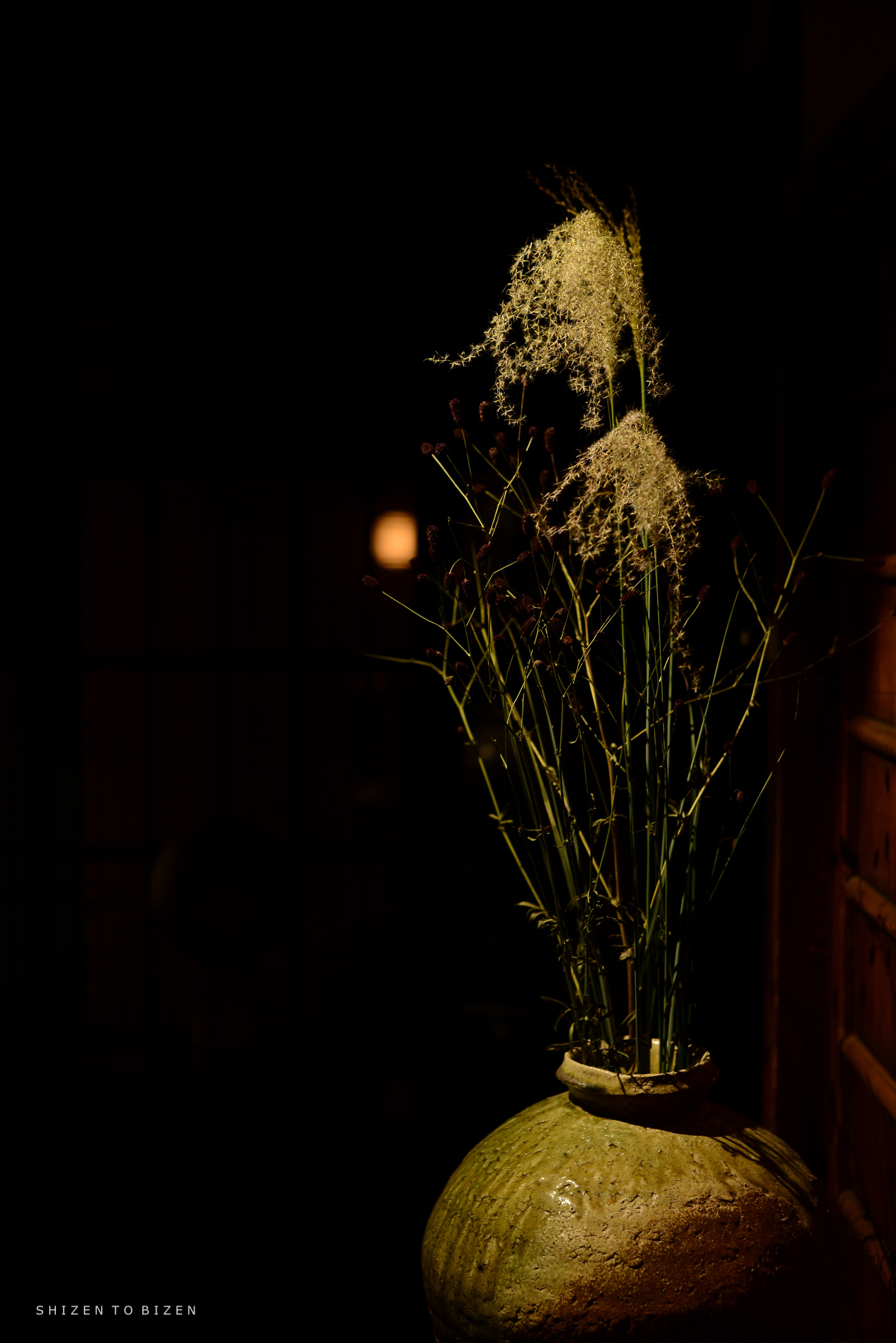 A decorative vase filled with tall, slender plants and delicate flowers, set against a dark background, creating a serene and peaceful ambiance.